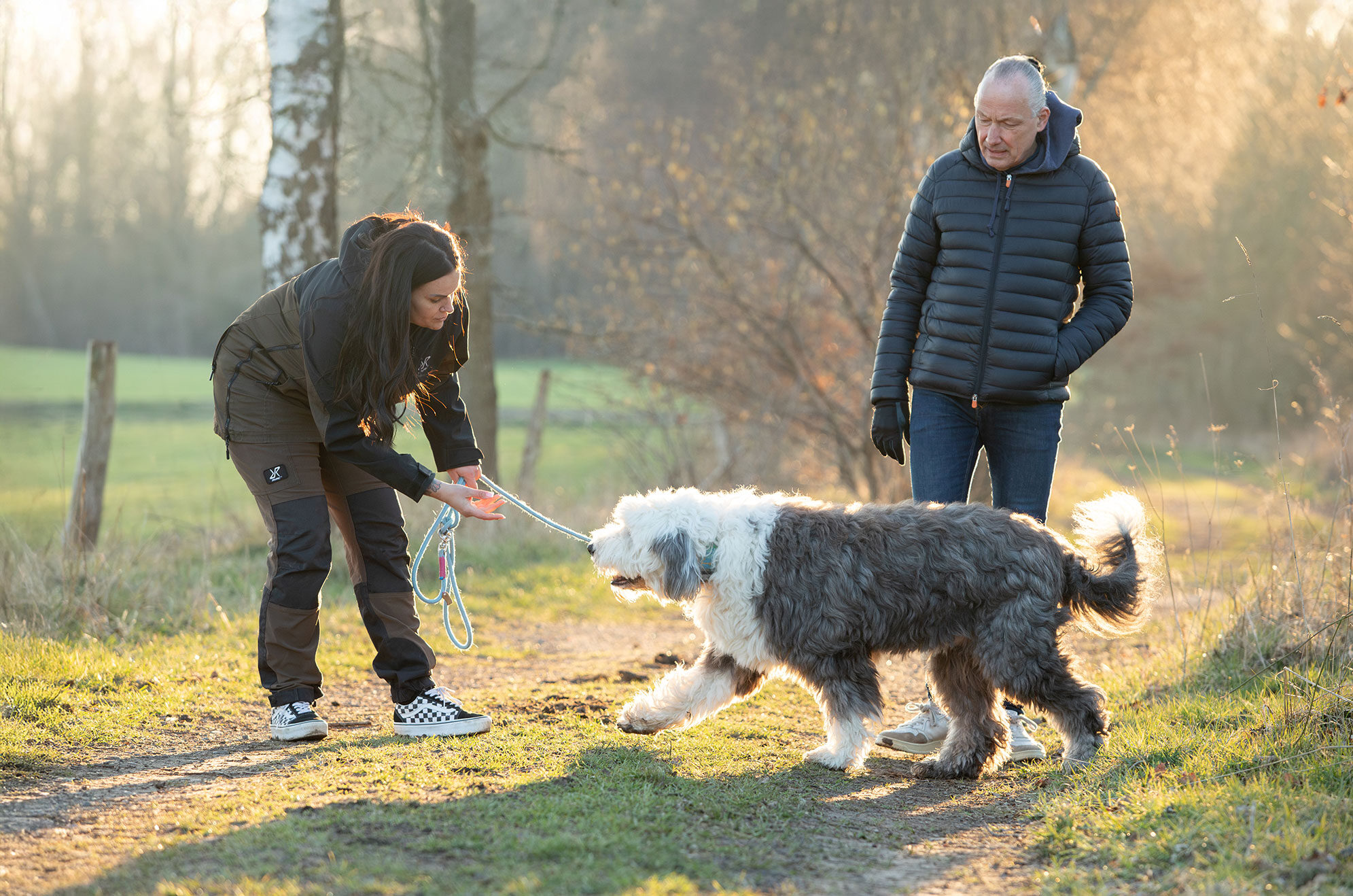 Hund-im-Einklang-6 Hund-im-Einklang-6