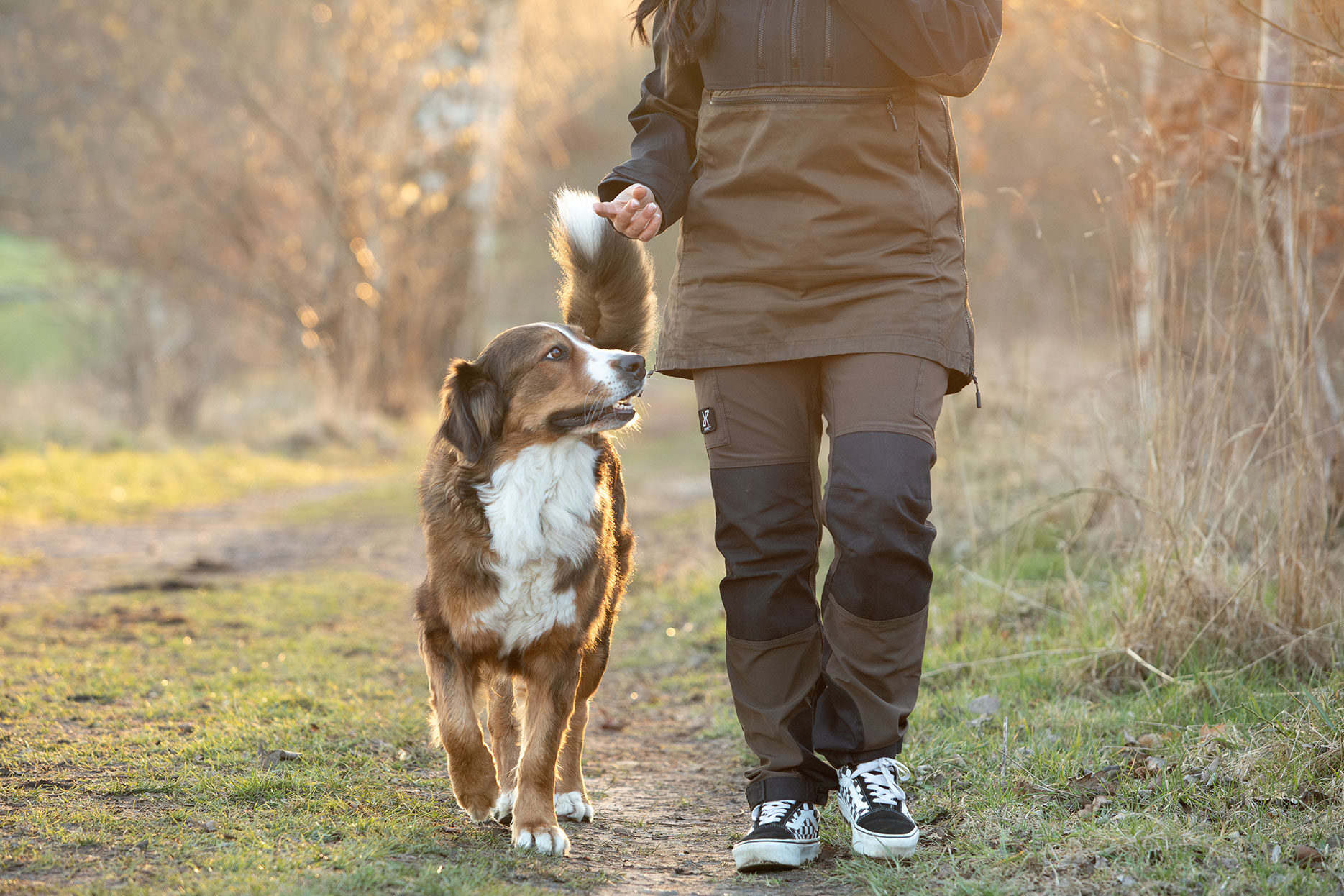 Hund-im-Einklang-9 Hund-im-Einklang-9